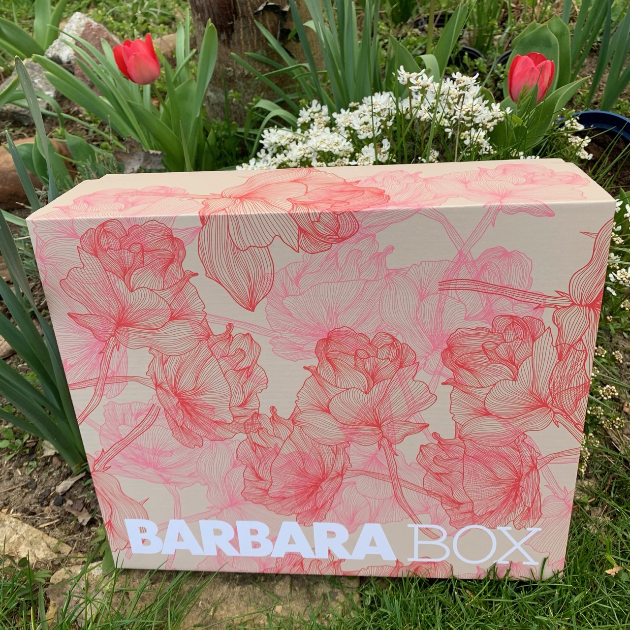 BARBARA BOX – Just bloom